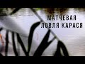 МАТЧЕВАЯ ЛОВЛЯ КРУПНОГО КАРАСЯ.. КАРПЫ РВУТ ЛЕСКУ...