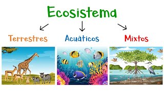 🌿 ¿Qué son los Ecosistemas? 🌎 Tipos de Ecosistemas 🐠 [Fácil y Rápido]