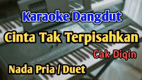 CINTA TAK TERPISAHKAN - KARAOKE || NADA PRIA / DUET || Cak Diqin || Audio HQ || Live Keyboard