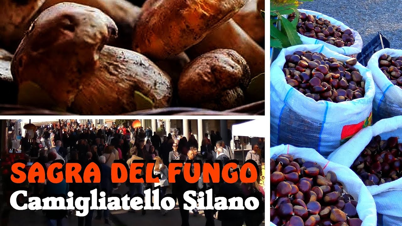 Sagra del Fungo a Camigliatello Silano, 55^ Edizione, ottobre 2024
