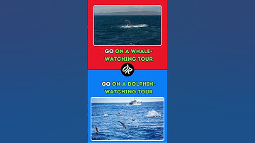 Would You Rather Questions? Epi. 21 #choices #quiz #wouldyourather #trivia #shorts