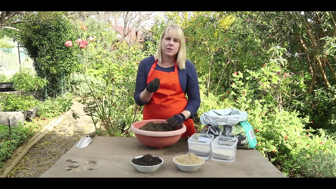 Turning Sand into Soil