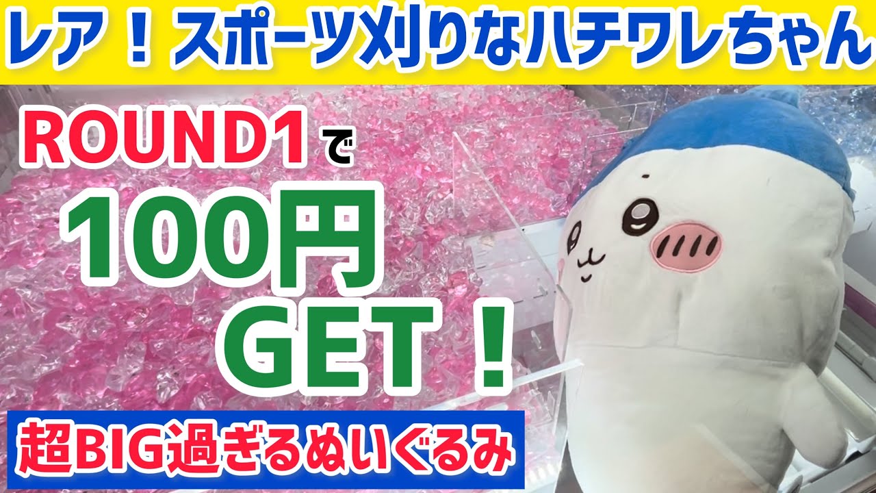 スポーツ刈りなハチワレ 超BIGぬいぐるみ　もこもこダイカットクッション