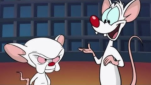 Pinky and the Brain  -  Intro / Outro Music