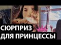 VLOG: Месяц подготовки не прошёл даром!!! У Кости новая норка. Ремонтные новости.