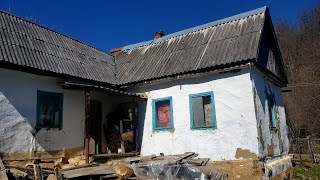 картинка: Курджиново Алычовая