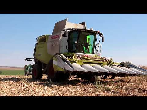 Videó: Valóban szükségesek a növényvédő szerek a mezőgazdaságban?
