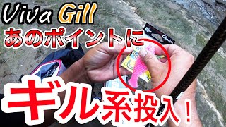 入れ食いの立木にギルを流し込んでみると、、 #バス釣り