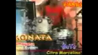 Monata karangwotan 2008