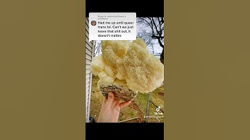 #growyourownfood #mushroom #mycology #queer #humanrights