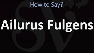 How to Pronounce Ailurus Fulgens? (CORRECTLY)