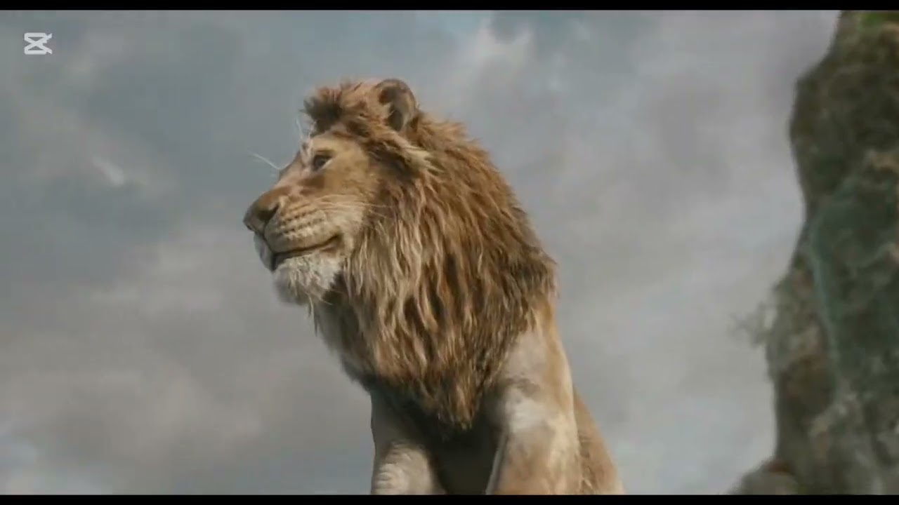 Mufasha and simba movie 2025 /mufasa movie trailer,all story details of mufasa simba, his family