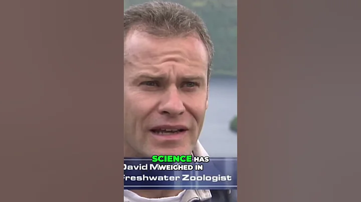 Unveiling Nessie: Fact or Fiction? The Loch Ness Monster Mystery SOLVED!