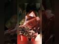 Minerals are Beautiful!!!💎Минералы - это Красиво!!! #rarest #minerals #gems #geologi #geology