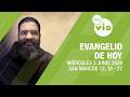 Evangelio de hoy: Miércoles 3 de Junio 2026 📖 Lectio Divina | Tele VID