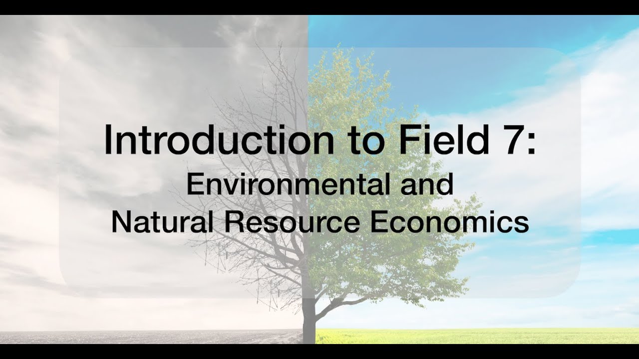 Introduction to Environmental and Natural Resource Economics Courses at Thammasat
