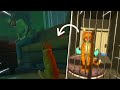 KISAH Kucing Oren CAPER YG DI ADOPSI Oleh Seorang NENEK! - Copycat