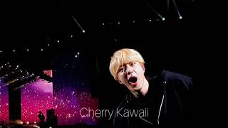 BTS (방탄소년단) WORLD TOUR LY- SPEAK YOURSELF IN BRAZIL [소우주 (Mikrokosmos)] FANCAM
