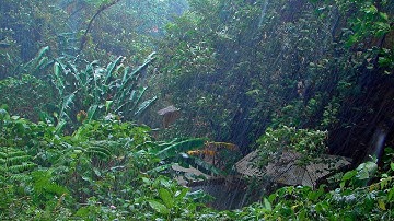 RAIN IN THE WOODS & BIRDS | White Noise For Relaxation, Tinnitus or Sleep | 10 HOURS