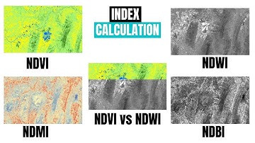 Creating spectral indices NDVI NDBI NDWI NDMI | ArcGIS Tutorial