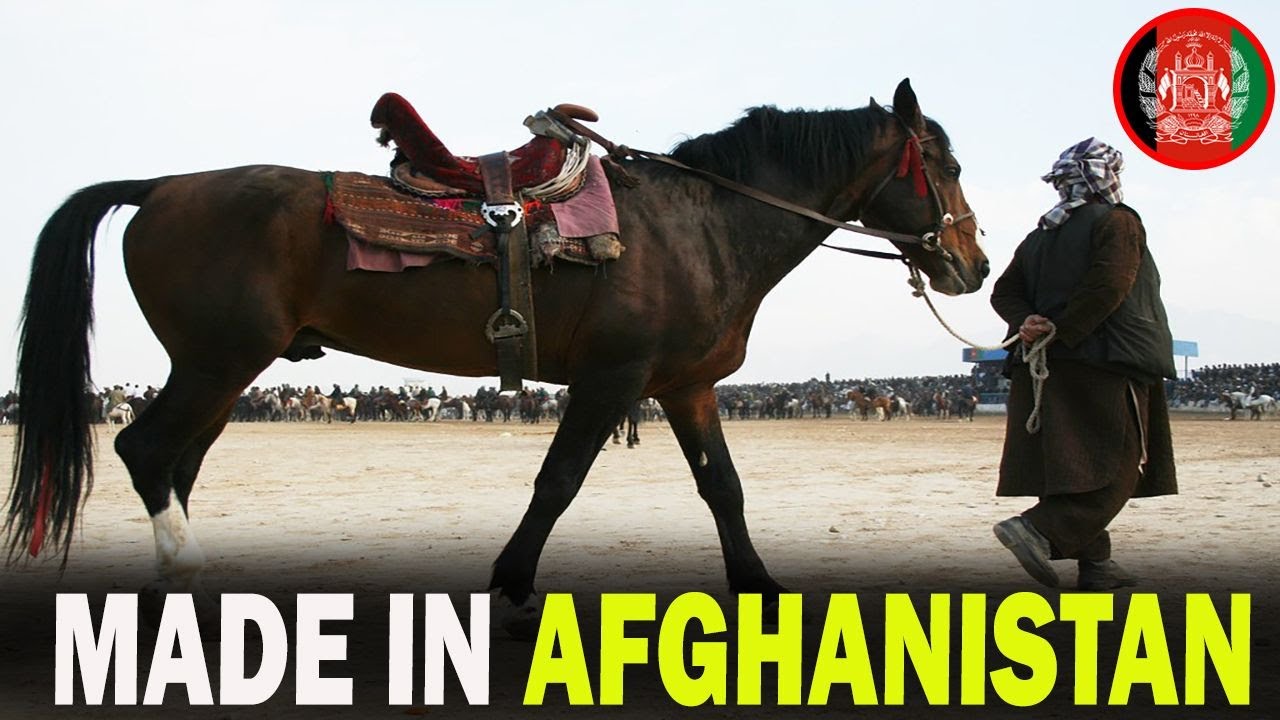 4 RARE Afghan Origin Horse Breeds You Don't Know About!!