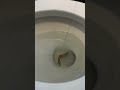 Toilet fishing 