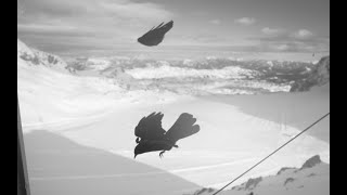 No Fall Zone And Perfekt April Pow In France