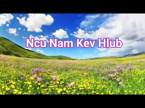 ncu-nam-kev-hlub-n-kx-tsaav-ntxawg-muas