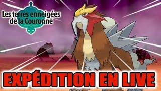 POKEMON EPEE & BOUCLIER EXPEDITION DYNAMAX SHINY HUNTING ENTEI !!! ROAD TO 650 ABO