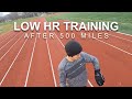 Maffetone Low HR Training After 500 Miles