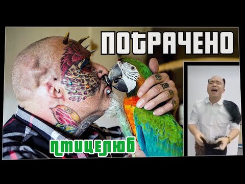 Потрачено. Птицелюб. Лучшие приколы, смешные видео и фейлы