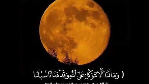 سورة إبراهيم آية 12