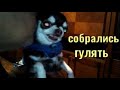 Пулькерия с папой собрались гулять... Чихуахуа Пулька и шотландская кошка Буня. 13.11.2021.