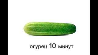 Огурец 10 Минут