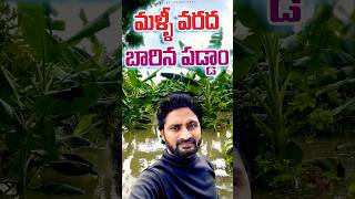 మళళ వరద బరన పడడమ Floods Effect