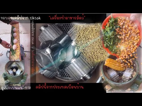 คลิปเครื่องอัดเม็ดอาหารสัตว์ จากประเทศเพือนบ้าน ดูเป้นแนวทาง