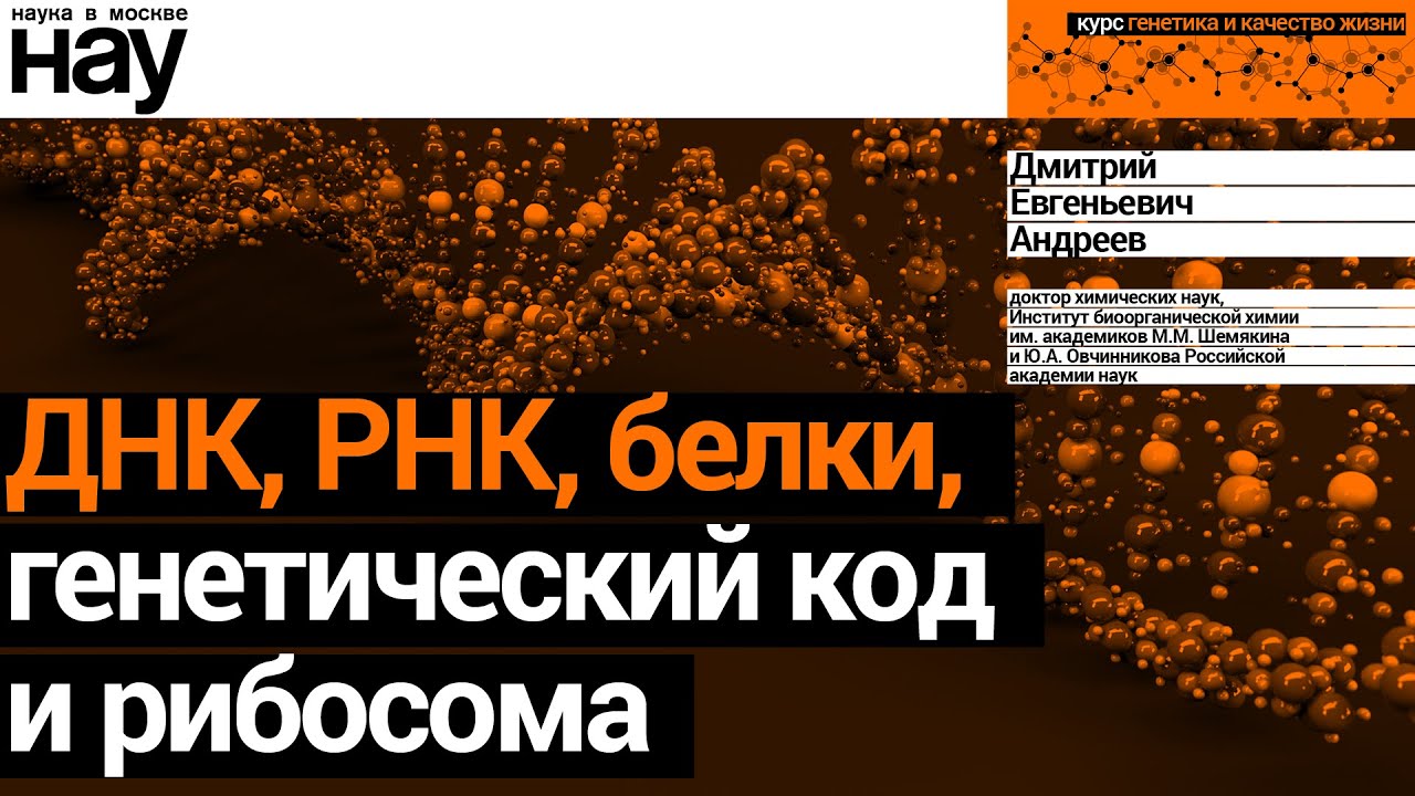 «ДНК, РНК, белки, генетический код и рибосома». Спикер: Андреев Дмитрий Евгеньевич