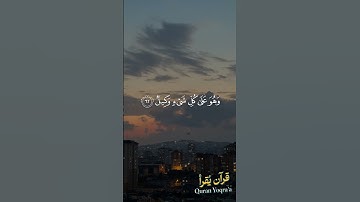 الله خالق كل شيء #سورة_الزمر #القرآن_الكريم #المنشاوي #اكسبلور #راحة_نفسية #لايك #تلاوة_خاشعة #الله