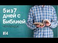 #14 // 5 дней из 7 с Библией челлендж