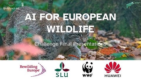 AI for European Wildlife - Final presentations