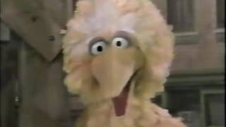 Sesame Street - Snuffy Jumps on Big Birds Trampoline @Sesame_101