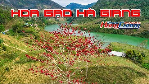 Hà Giang mùa Hoa Gạo