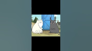 Can of wopass #like #subscribe #reels #fyp≥° viral#explodingkittens #godcat #devilcat #cat #cute