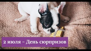 День сюрпризов - 2 июля. С Днём сюрпризов! Праздник.