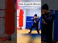 “How to Fight Like a Pro – Best Striking Combo” #hongliu