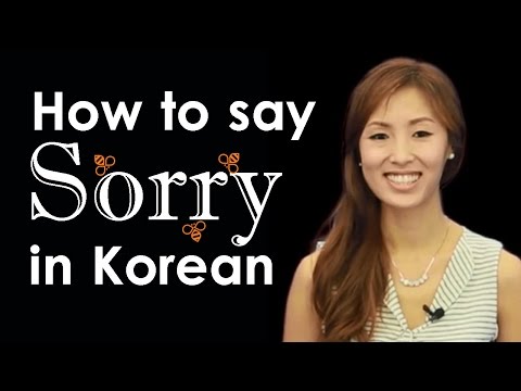 Sorry in Korean | Learn Korean with Beeline!