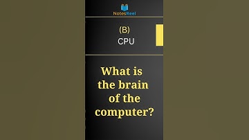 What is the brain of the computer?
