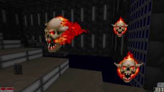 Doom Wads/Mods D!Zone Gold #223:Sewer Of Darkness