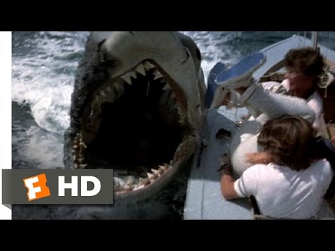 Jaws 2 (7/9) Movie CLIP - Shark vs. Sailboats (1978) HD