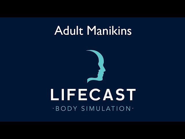 LifeCast Adult Manikins